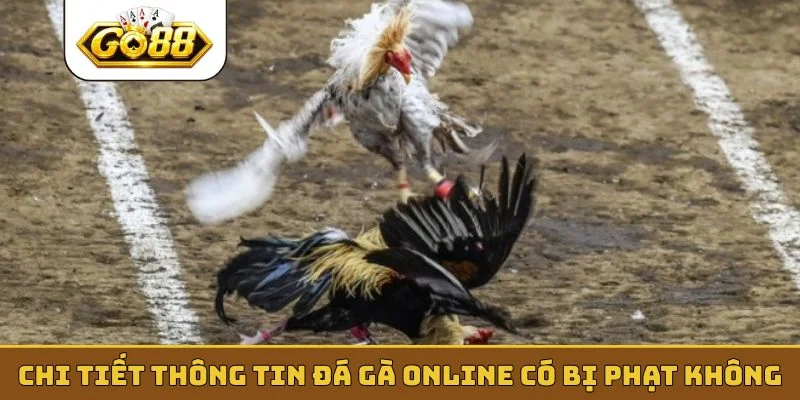 Chi tiết thông tin đá gà online có bị phạt không