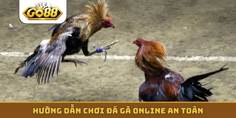 Hướng dẫn chơi đá gà online an toàn
