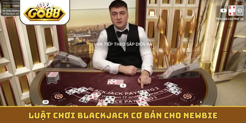 Luật chơi blackjack cơ bản cho newbie