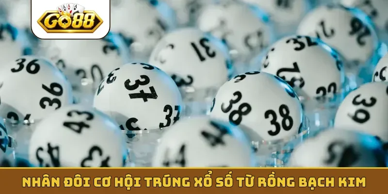 Nhân đôi cơ hội trúng xổ số từ rồng bạch kim