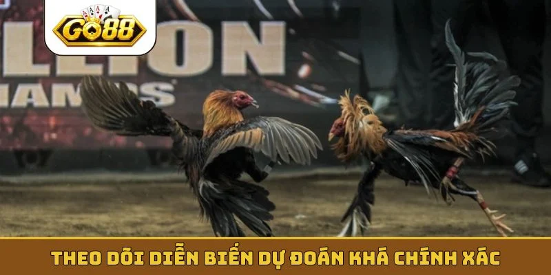 Theo dõi diễn biến dự đoán khá chính xác