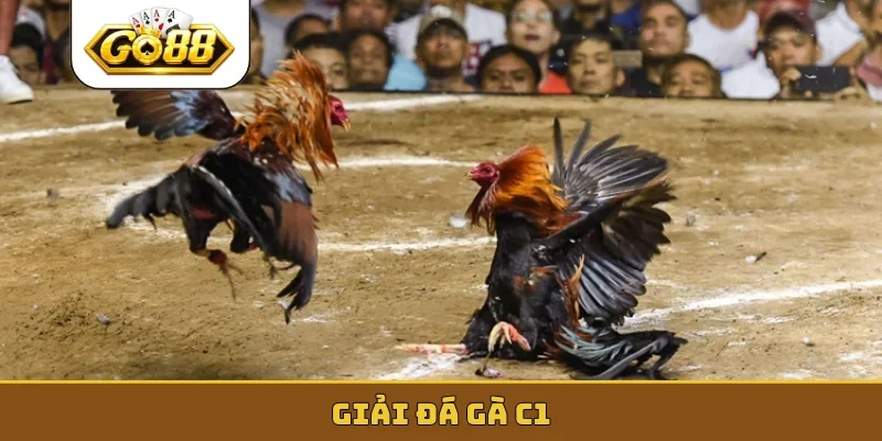 giải đá gà C1