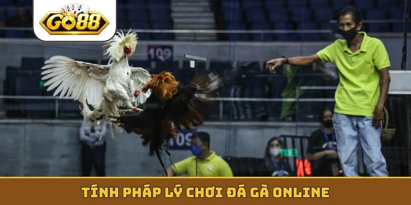 Tính pháp lý chơi đá gà online