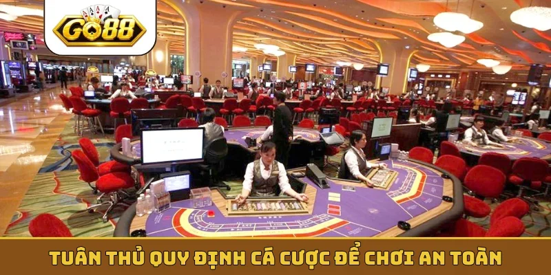 Tuân thủ quy định cá cược để chơi an toàn